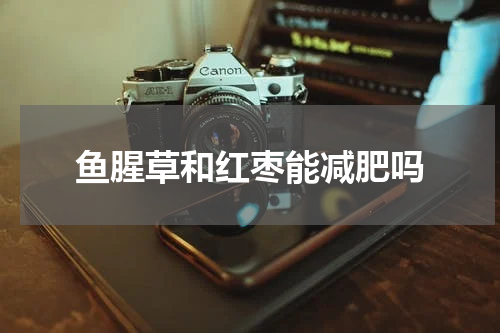 鱼腥草和红枣能减肥吗