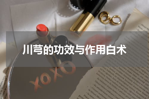 川芎的功效与作用白术