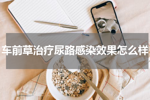 车前草治疗尿路感染效果怎么样