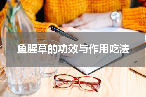 鱼腥草的功效与作用吃法
