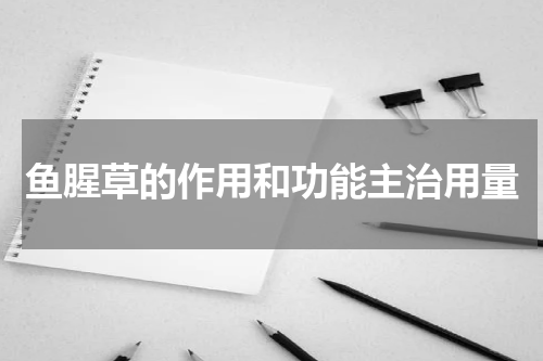 鱼腥草的作用和功能主治用量