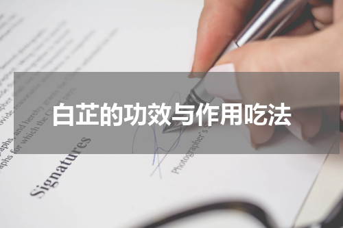 白芷的功效与作用吃法