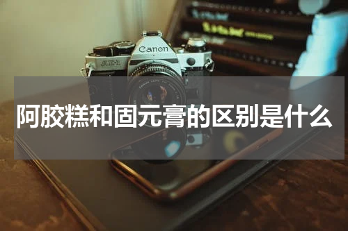 阿胶糕和固元膏的区别是什么