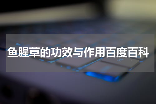 鱼腥草的功效与作用百度百科