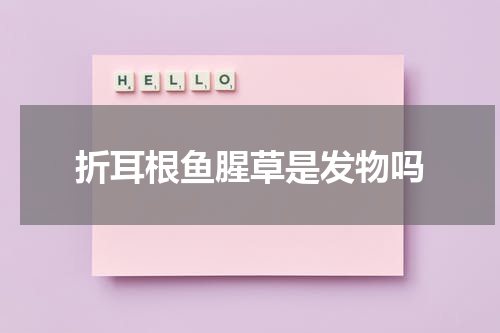 折耳根鱼腥草是发物吗