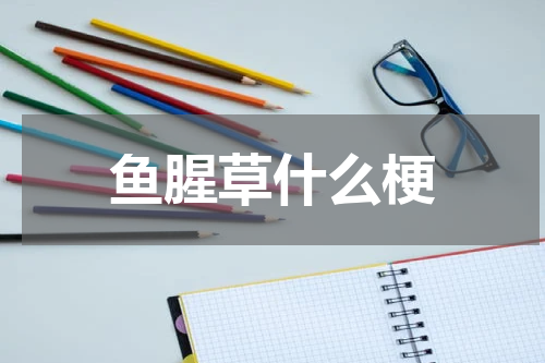鱼腥草什么梗