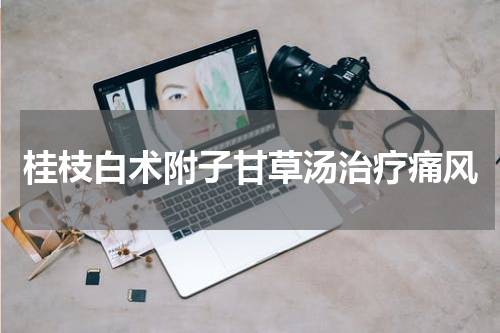 桂枝白术附子甘草汤治疗痛风
