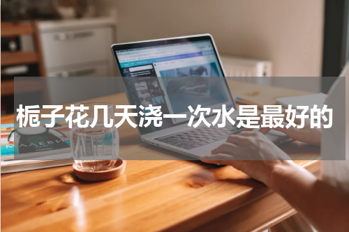 栀子花几天浇一次水是最好的