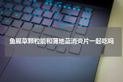 鱼腥草颗粒能和蒲地蓝消炎片一起吃吗