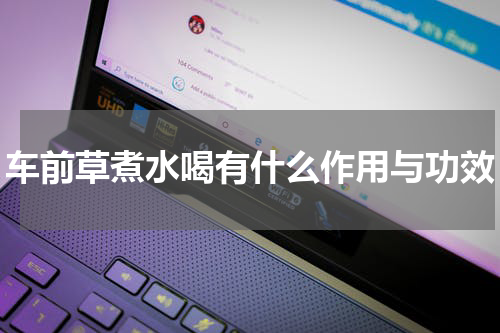 车前草煮水喝有什么作用与功效