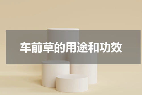 车前草的用途和功效