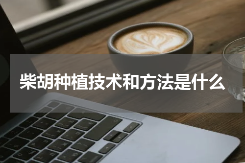 柴胡种植技术和方法是什么