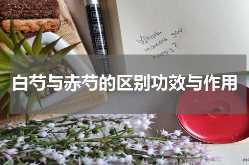 白芍与赤芍的区别功效与作用