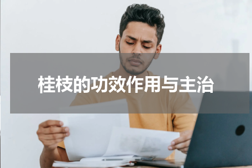 桂枝的功效作用与主治