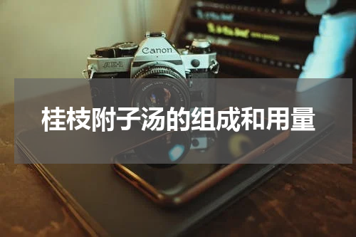 桂枝附子汤的组成和用量