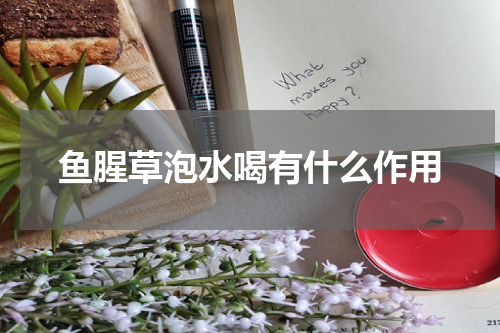 鱼腥草泡水喝有什么作用