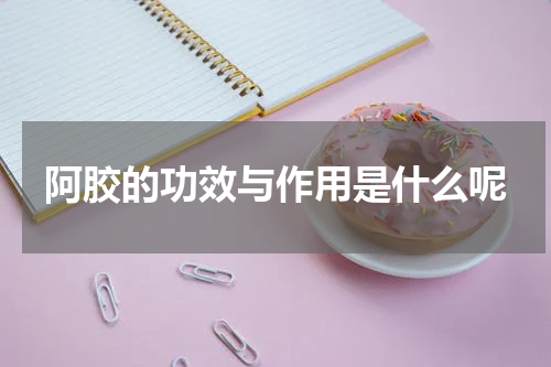 阿胶的功效与作用是什么呢