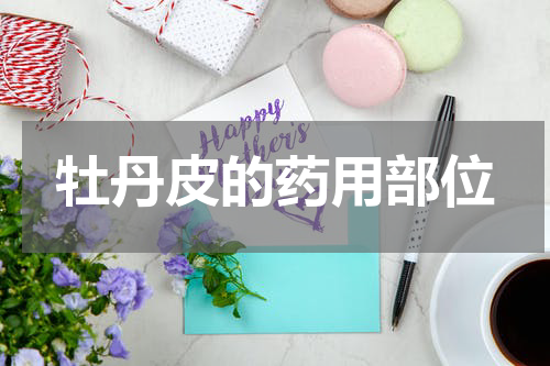 牡丹皮的药用部位