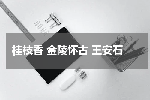 桂枝香 金陵怀古 王安石