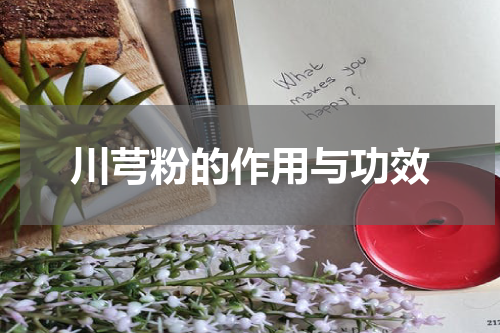 川芎粉的作用与功效
