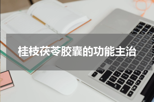 桂枝茯苓胶囊的功能主治