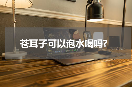 苍耳子可以泡水喝吗?