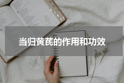 当归黄芪的作用和功效