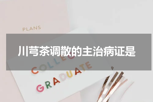 川芎茶调散的主治病证是
