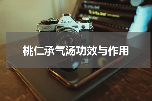 桃仁承气汤功效与作用