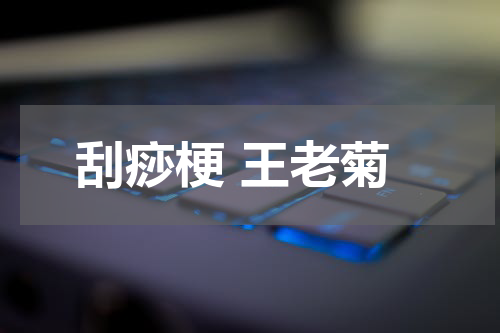 刮痧梗 王老菊