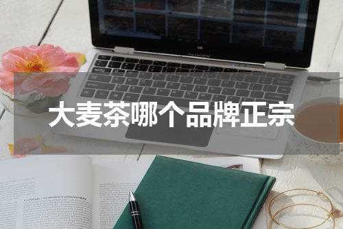 大麦茶哪个品牌正宗