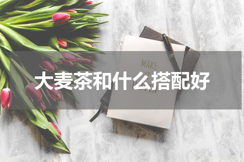 大麦茶和什么搭配好
