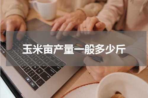 玉米亩产量一般多少斤