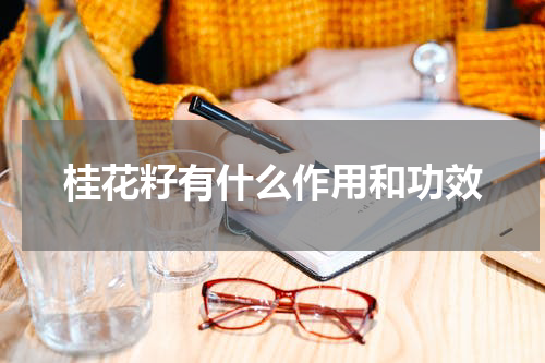 桂花籽有什么作用和功效