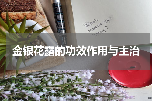 金银花露的功效作用与主治