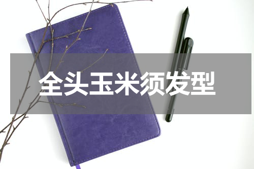 全头玉米须发型