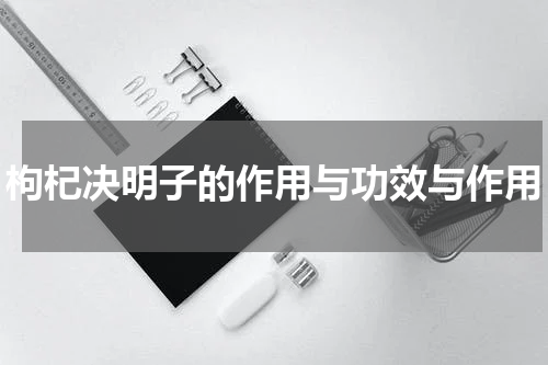 枸杞决明子的作用与功效与作用