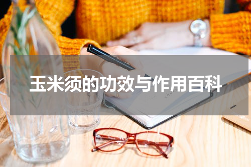玉米须的功效与作用百科