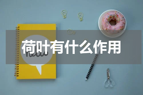 荷叶有什么作用