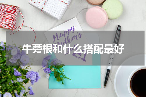牛蒡根和什么搭配最好