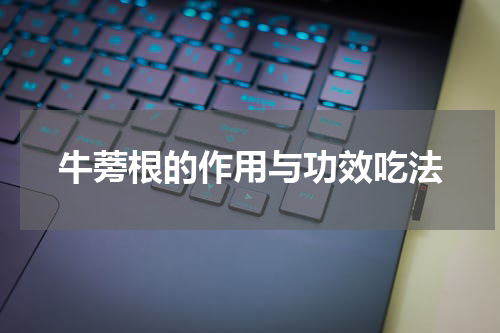牛蒡根的作用与功效吃法
