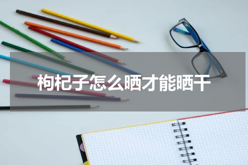 枸杞子怎么晒才能晒干