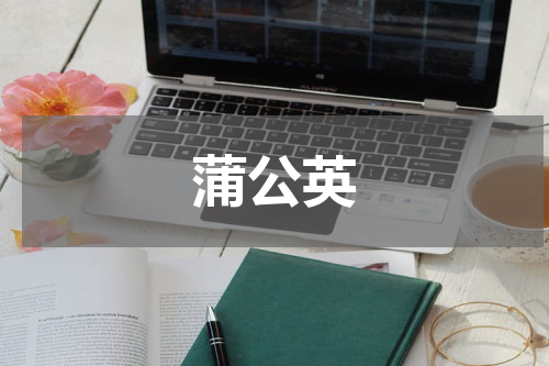 蒲公英