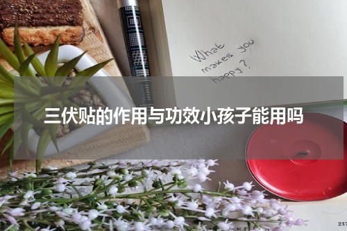 三伏贴的作用与功效小孩子能用吗