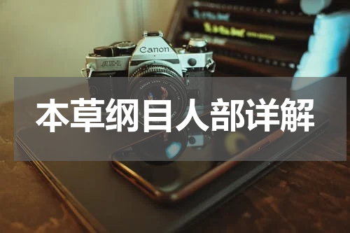 本草纲目人部详解