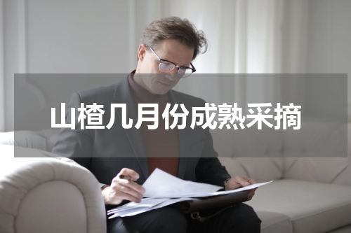 山楂几月份成熟采摘