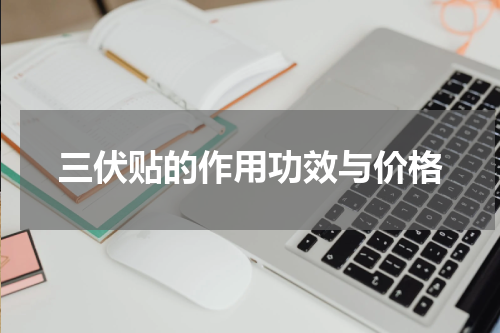 三伏贴的作用功效与价格