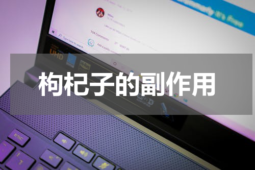 枸杞子的副作用
