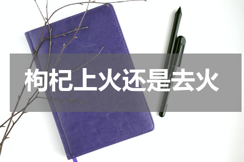 枸杞上火还是去火