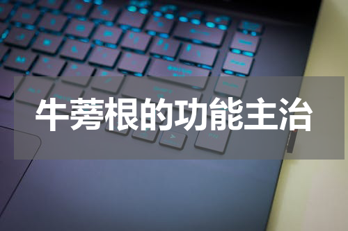 牛蒡根的功能主治